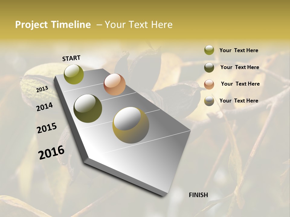 A Nut Tree With Nuts On It's Branches PowerPoint Template