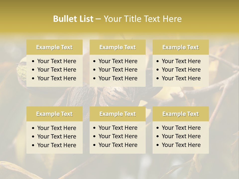 A Nut Tree With Nuts On It's Branches PowerPoint Template
