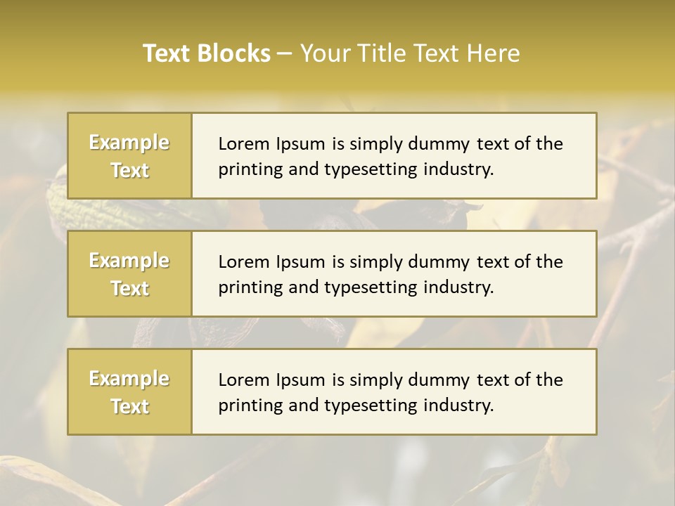 A Nut Tree With Nuts On It's Branches PowerPoint Template