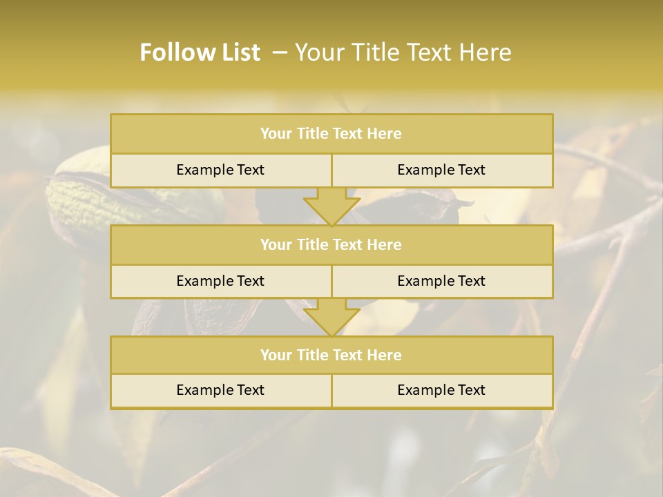 A Nut Tree With Nuts On It's Branches PowerPoint Template