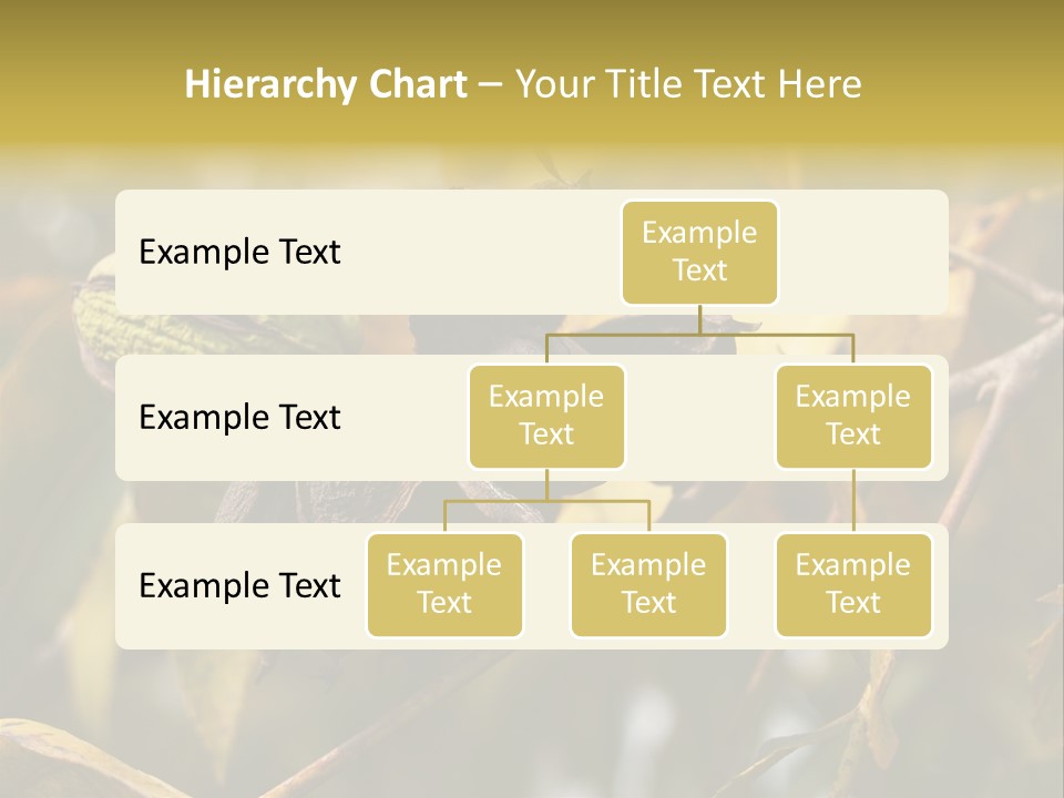 A Nut Tree With Nuts On It's Branches PowerPoint Template