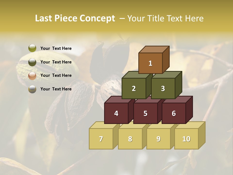 A Nut Tree With Nuts On It's Branches PowerPoint Template