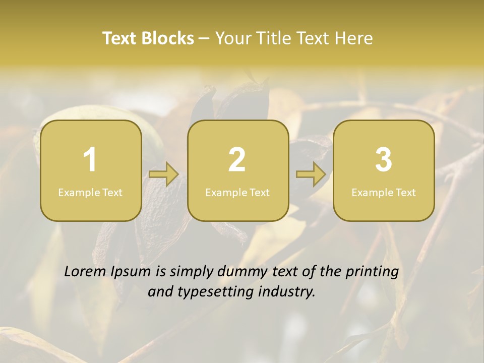 A Nut Tree With Nuts On It's Branches PowerPoint Template