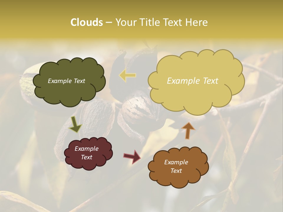 A Nut Tree With Nuts On It's Branches PowerPoint Template