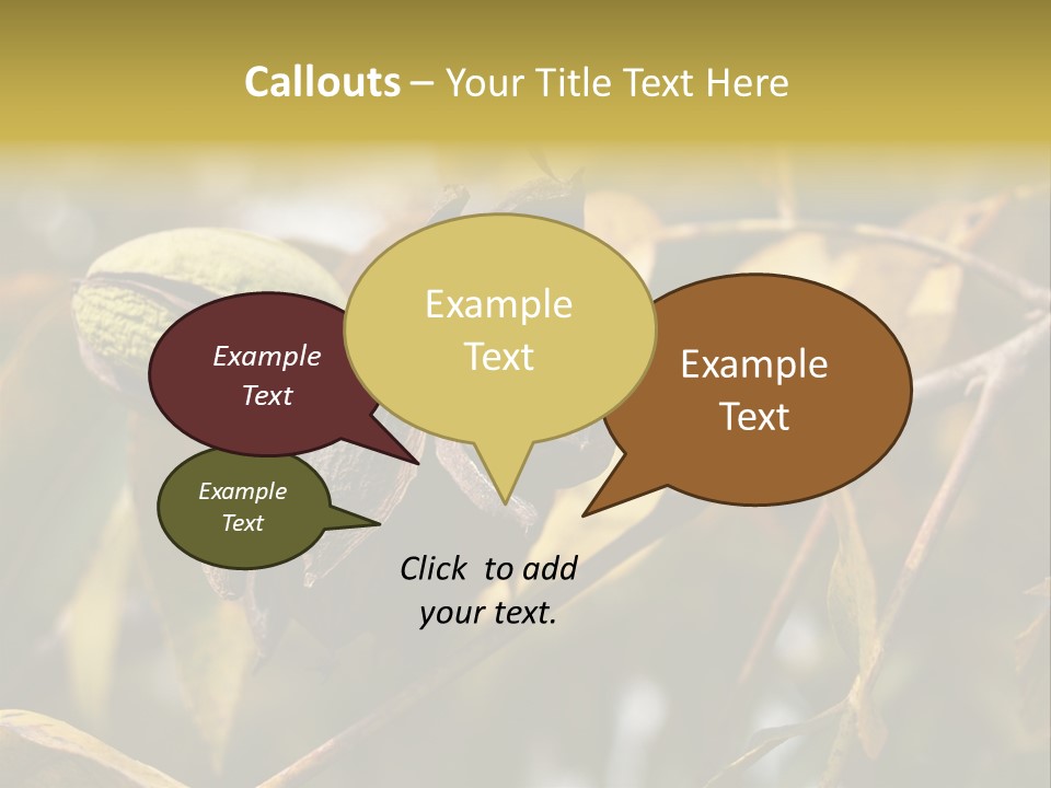 A Nut Tree With Nuts On It's Branches PowerPoint Template