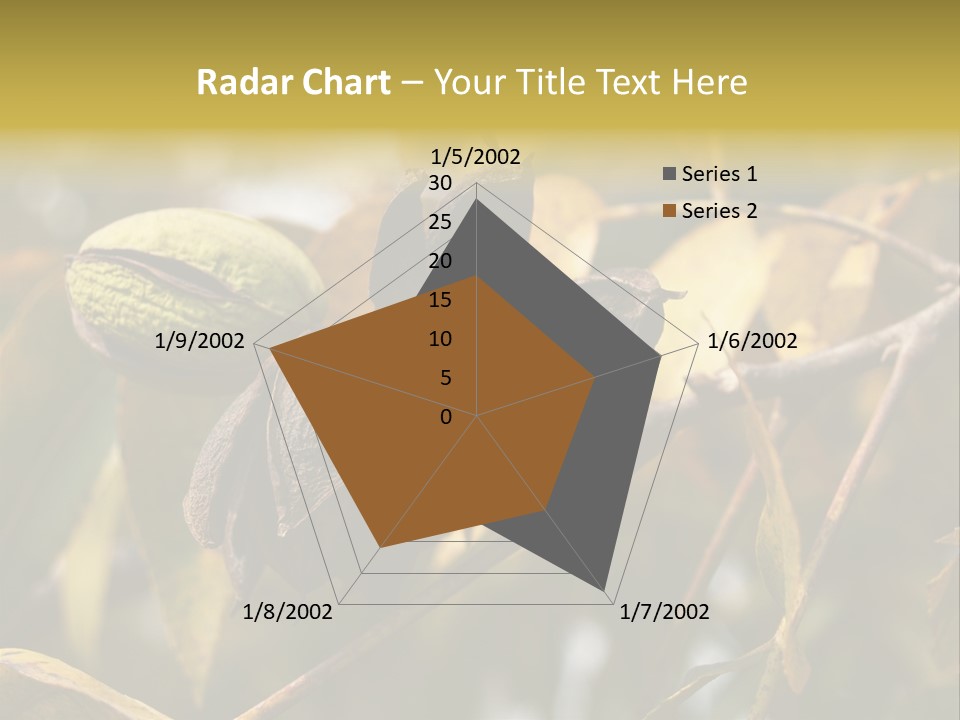 A Nut Tree With Nuts On It's Branches PowerPoint Template