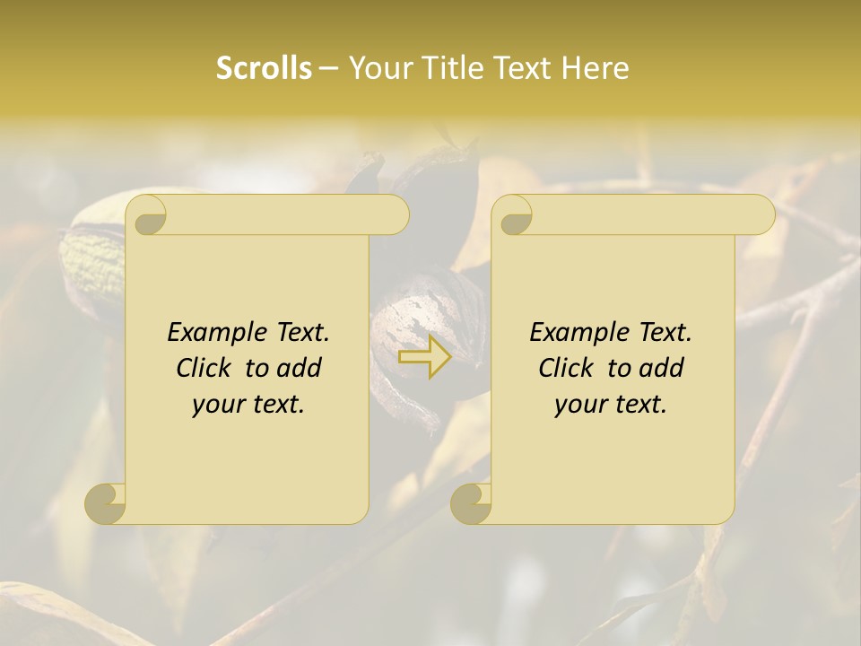 A Nut Tree With Nuts On It's Branches PowerPoint Template