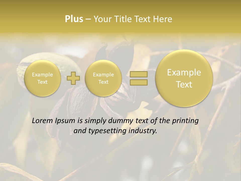 A Nut Tree With Nuts On It's Branches PowerPoint Template
