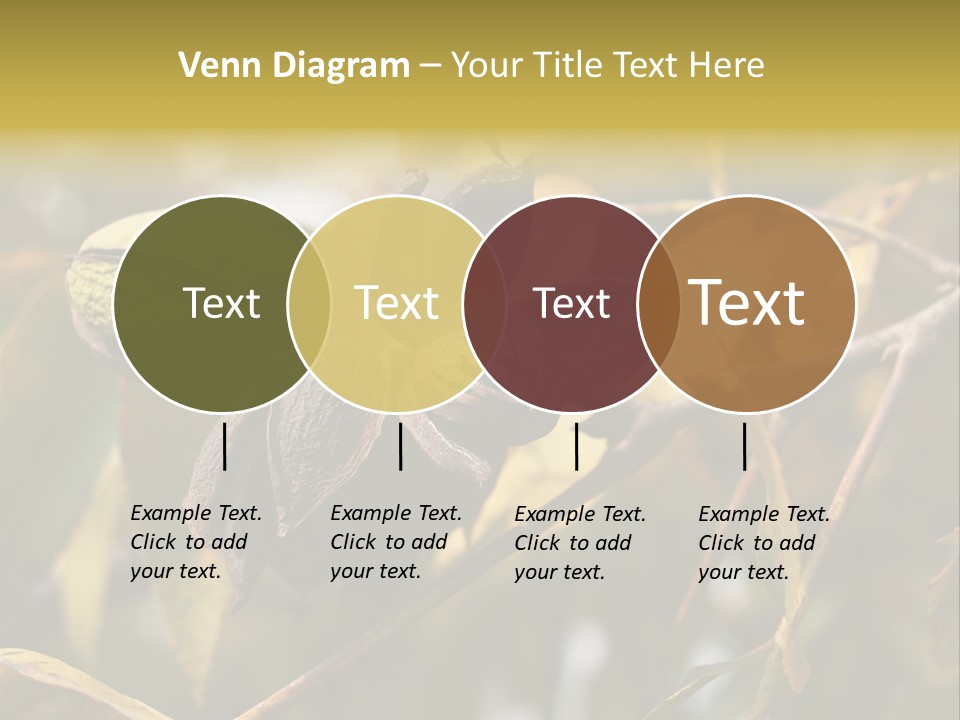 A Nut Tree With Nuts On It's Branches PowerPoint Template