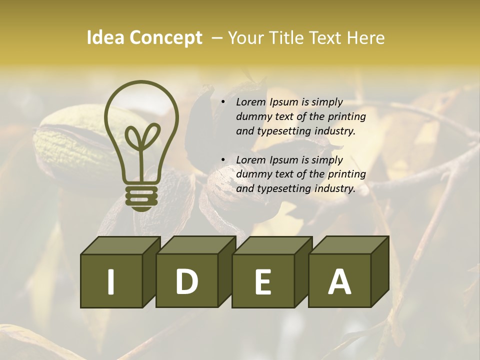 A Nut Tree With Nuts On It's Branches PowerPoint Template