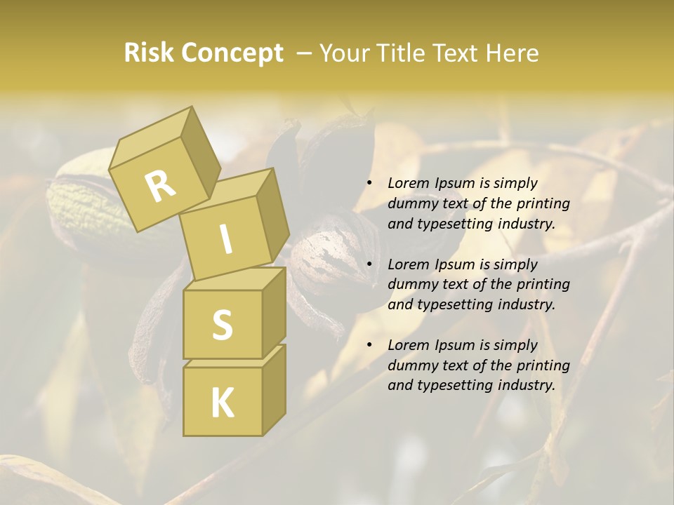 A Nut Tree With Nuts On It's Branches PowerPoint Template