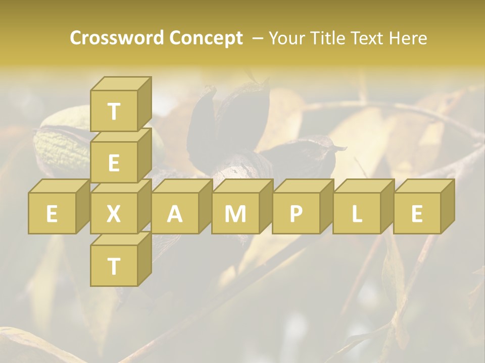 A Nut Tree With Nuts On It's Branches PowerPoint Template