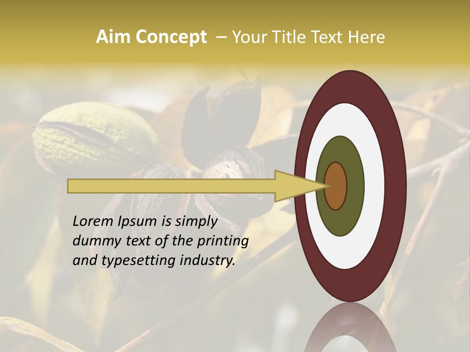A Nut Tree With Nuts On It's Branches PowerPoint Template