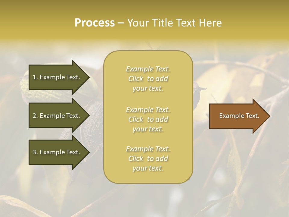 A Nut Tree With Nuts On It's Branches PowerPoint Template