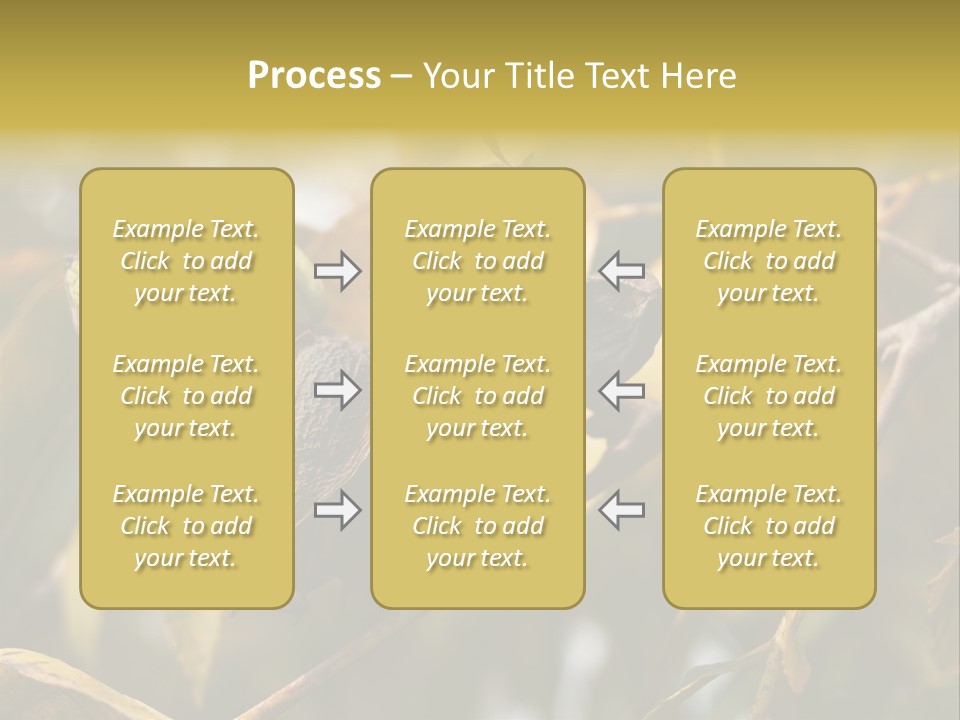 A Nut Tree With Nuts On It's Branches PowerPoint Template