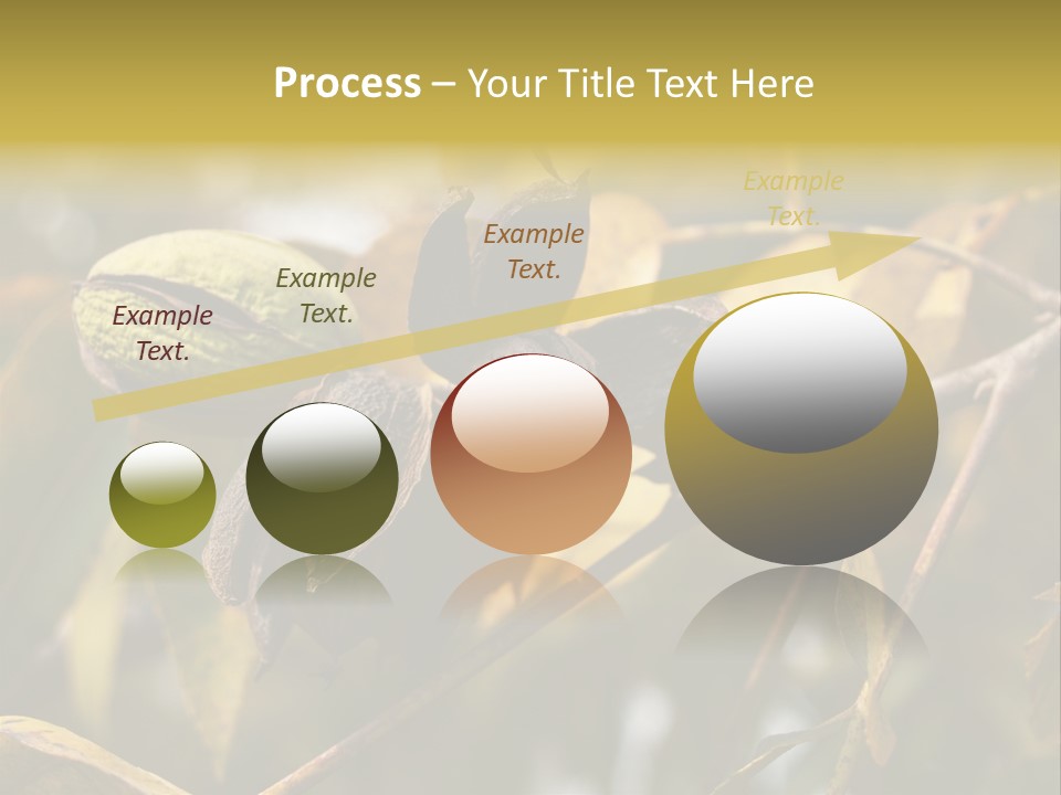 A Nut Tree With Nuts On It's Branches PowerPoint Template