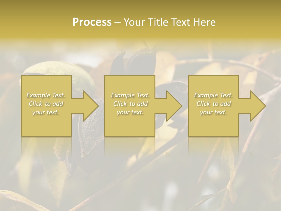 A Nut Tree With Nuts On It's Branches PowerPoint Template