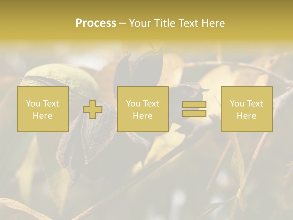 A Nut Tree With Nuts On It's Branches PowerPoint Template