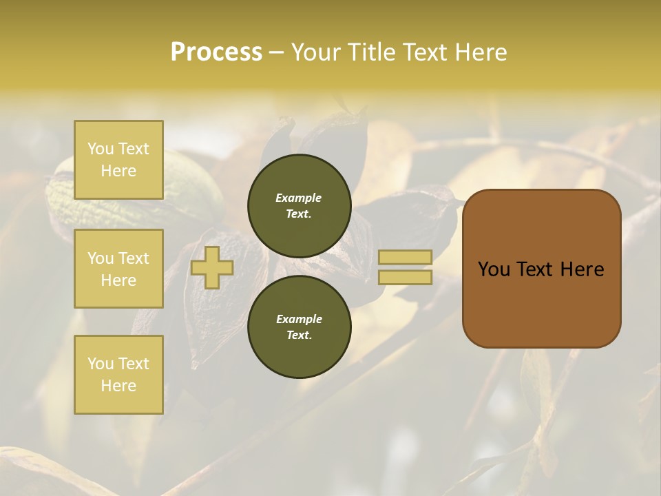 A Nut Tree With Nuts On It's Branches PowerPoint Template