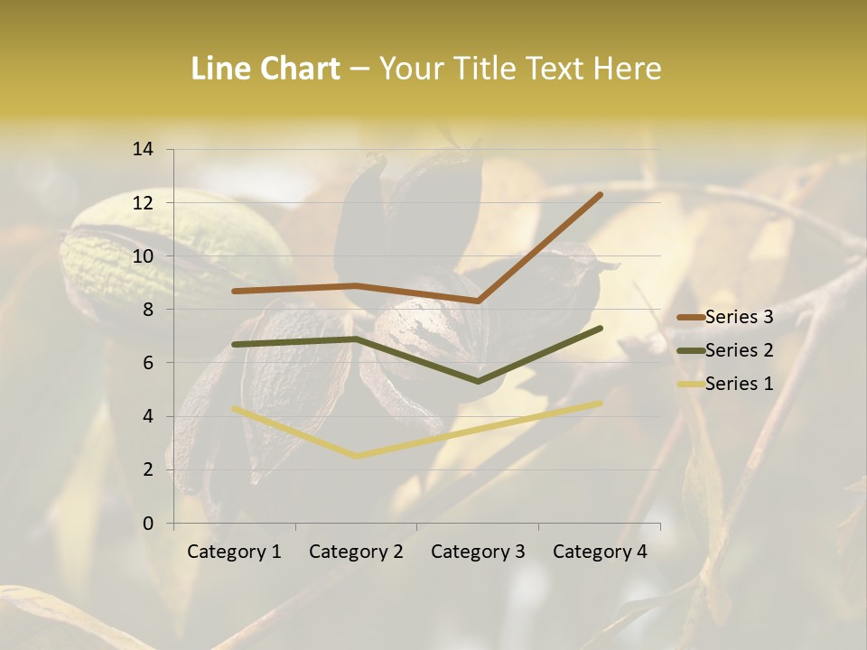 A Nut Tree With Nuts On It's Branches PowerPoint Template