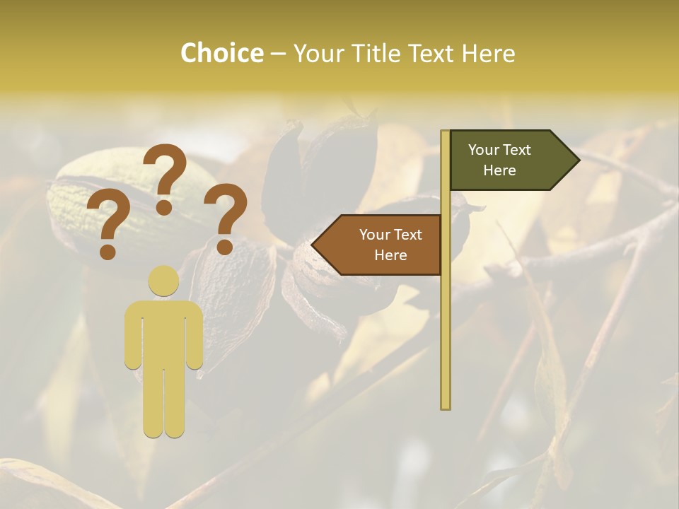 A Nut Tree With Nuts On It's Branches PowerPoint Template