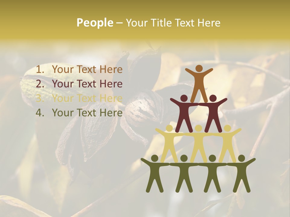 A Nut Tree With Nuts On It's Branches PowerPoint Template