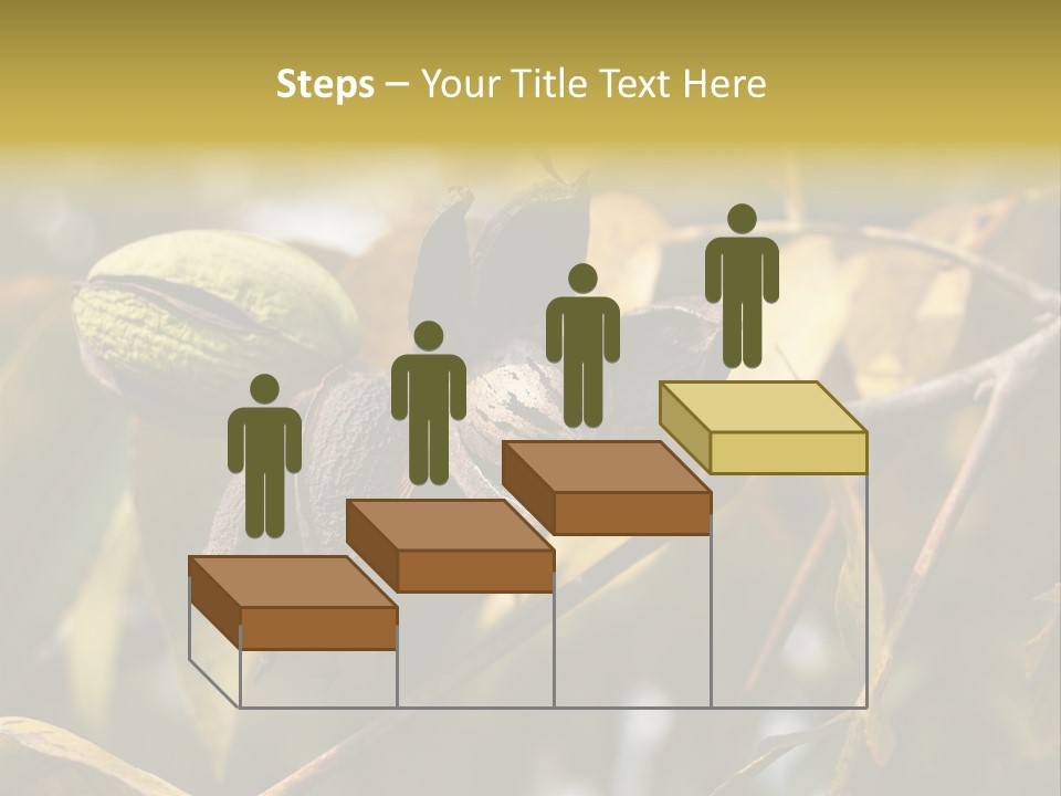 A Nut Tree With Nuts On It's Branches PowerPoint Template