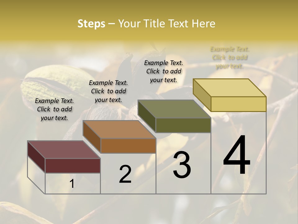 A Nut Tree With Nuts On It's Branches PowerPoint Template