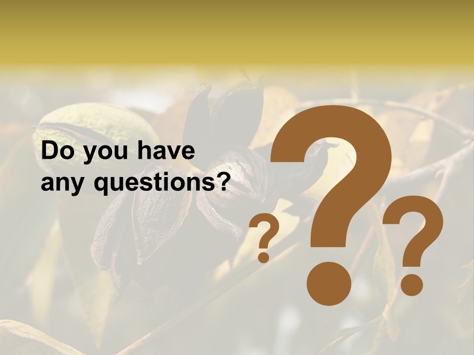 A Nut Tree With Nuts On It's Branches PowerPoint Template