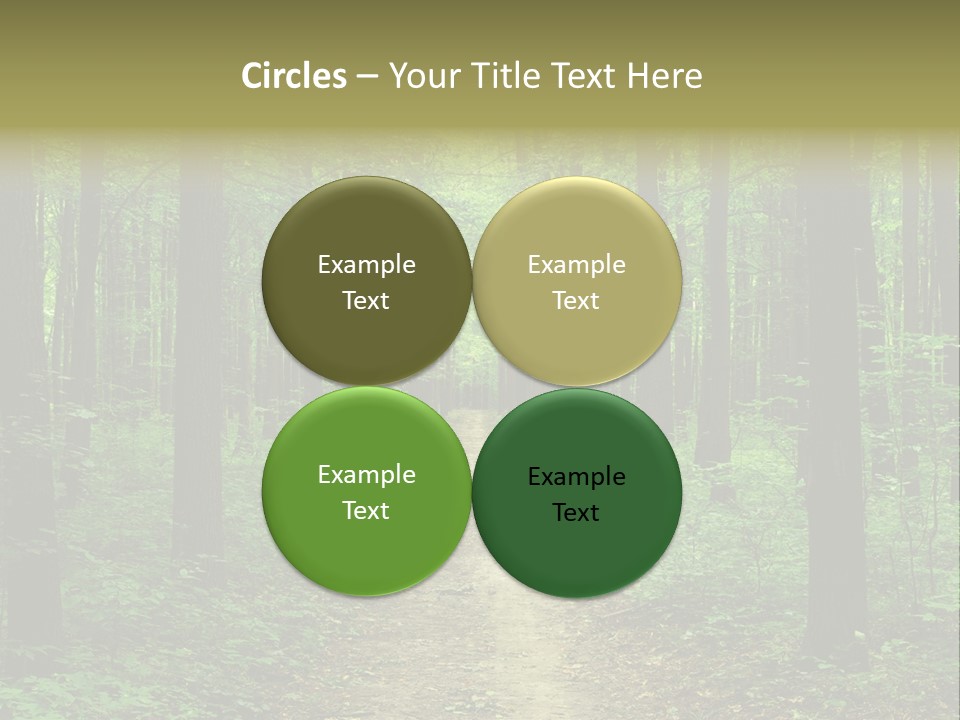 Forest PowerPoint Template