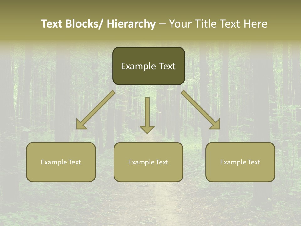 Forest PowerPoint Template