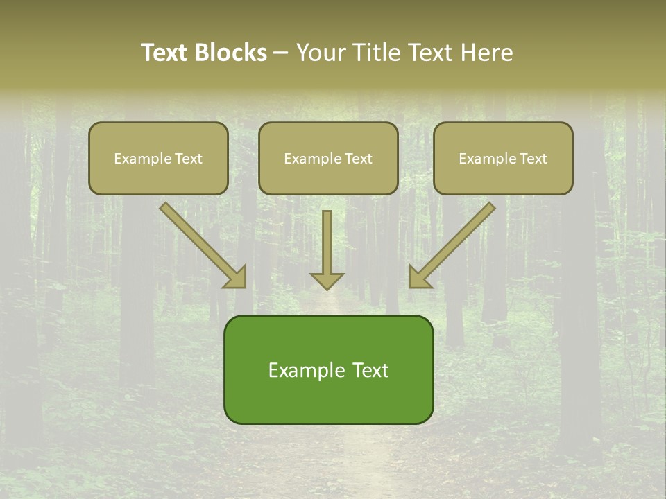 Forest PowerPoint Template