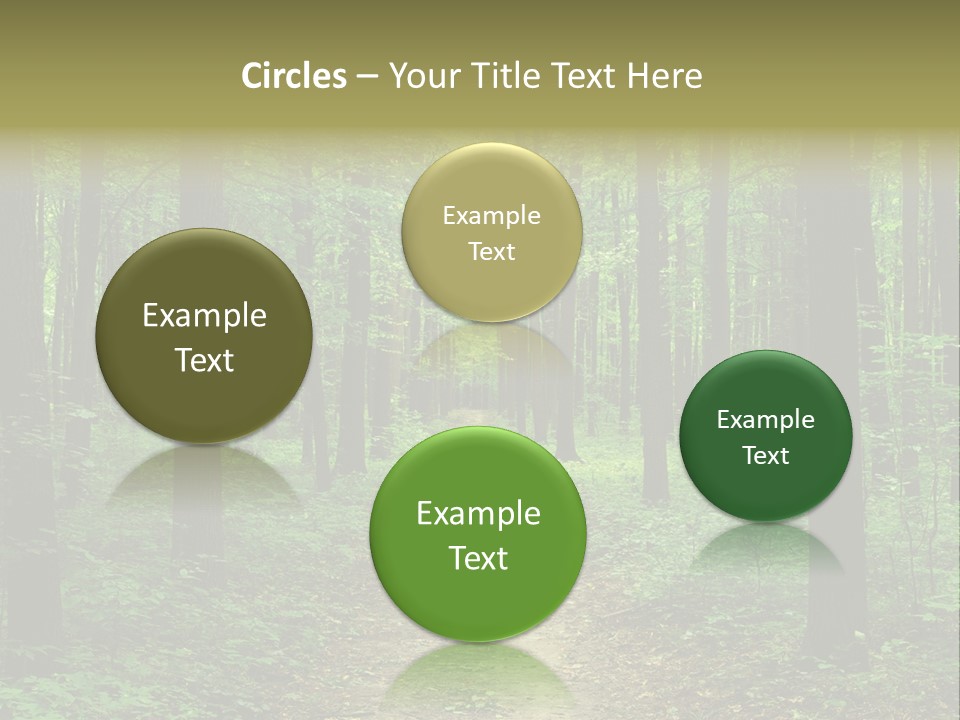 Forest PowerPoint Template