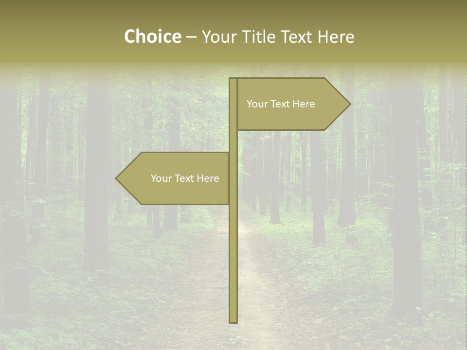 Forest PowerPoint Template