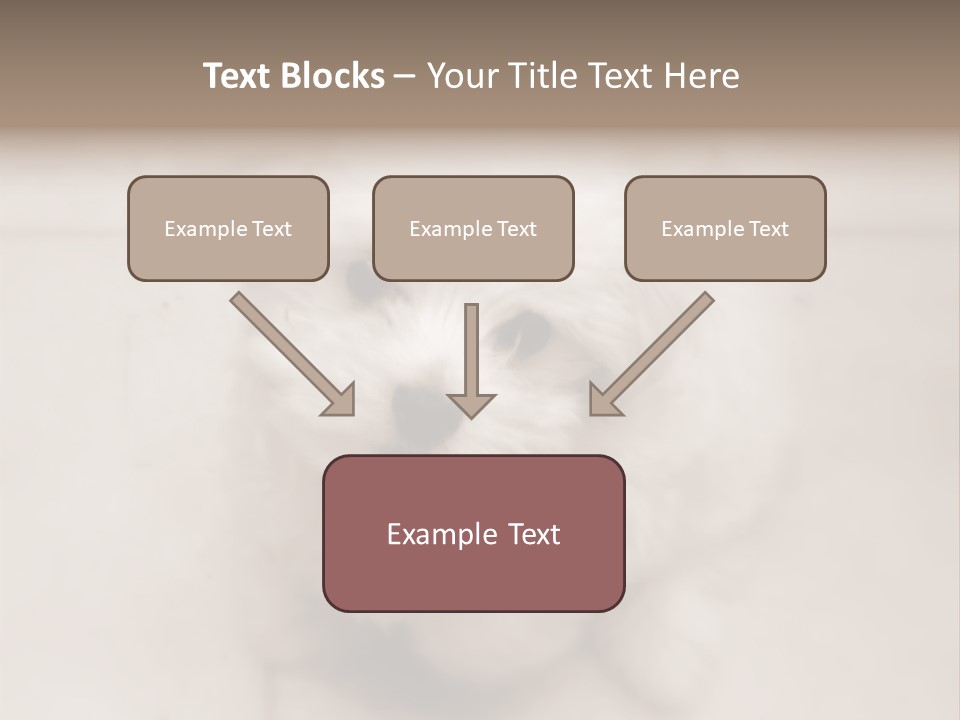 Puppy Love PowerPoint Template