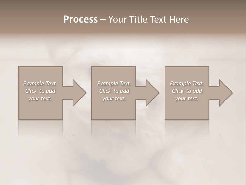 Puppy Love PowerPoint Template