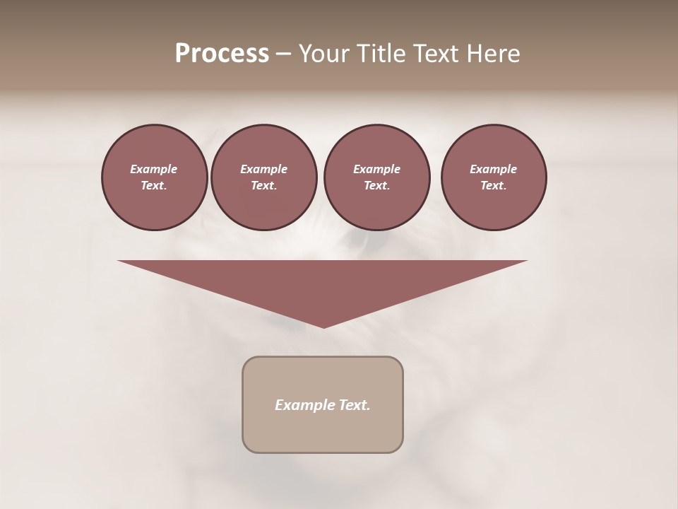 Puppy Love PowerPoint Template