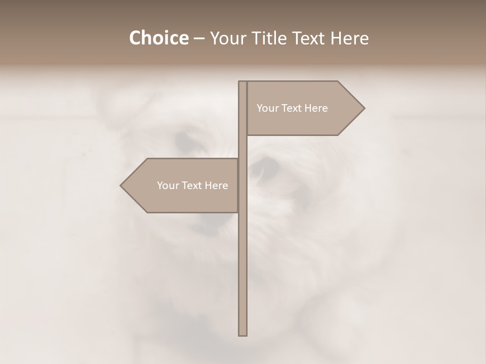 Puppy Love PowerPoint Template