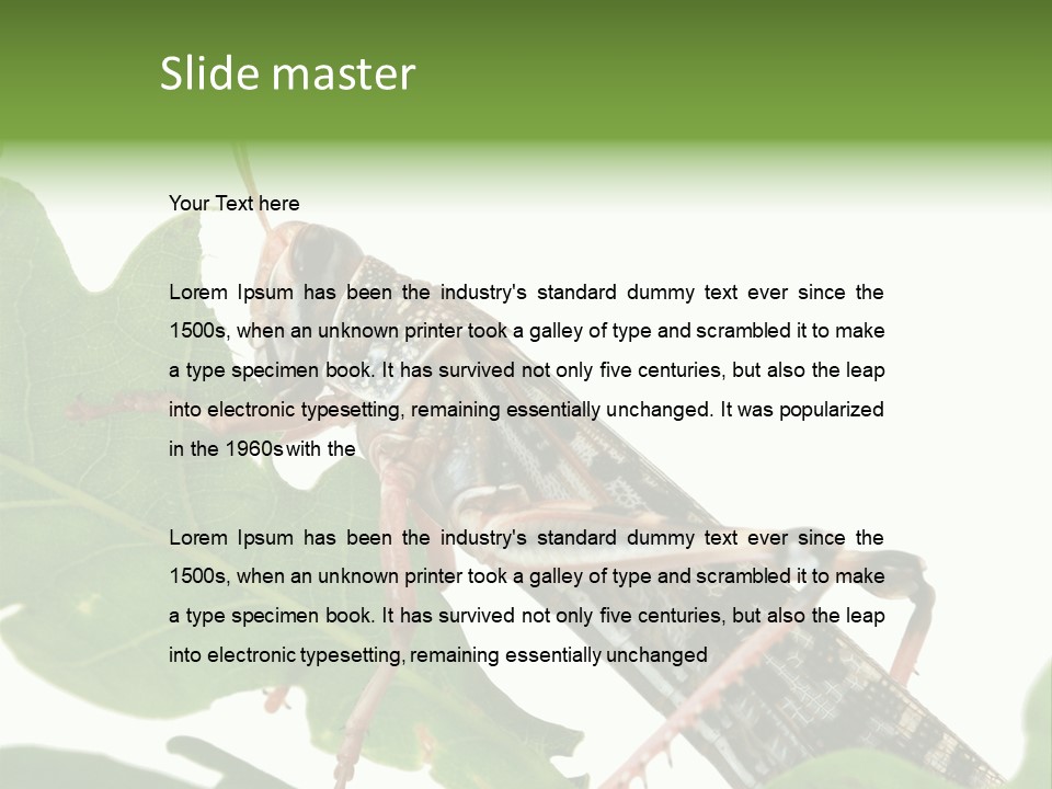 Locust Eating A Leaf Of An Oak - Macro Shot PowerPoint Template