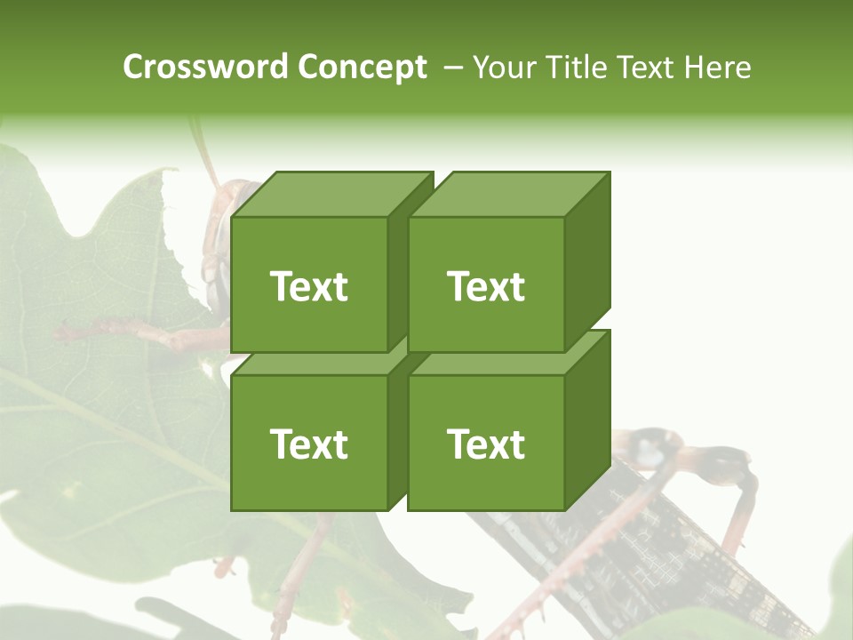 Locust Eating A Leaf Of An Oak - Macro Shot PowerPoint Template