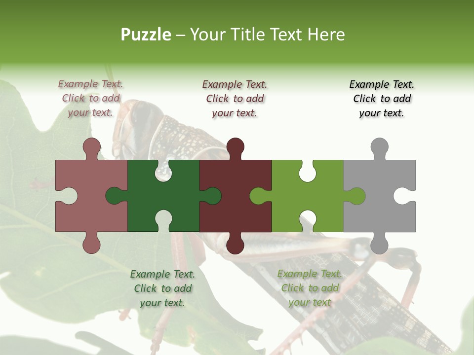 Locust Eating A Leaf Of An Oak - Macro Shot PowerPoint Template