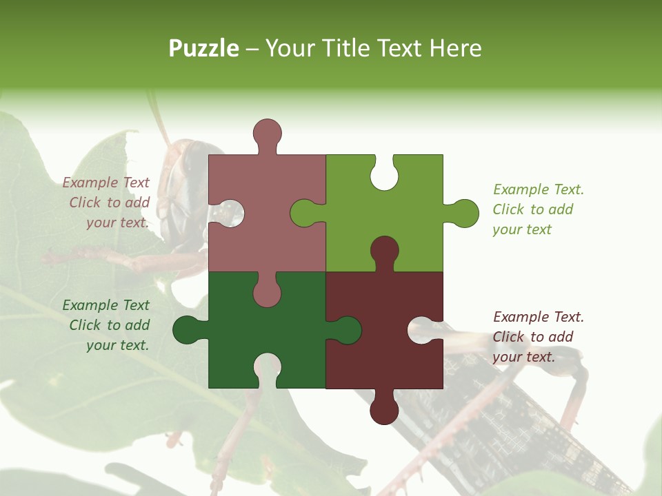 Locust Eating A Leaf Of An Oak - Macro Shot PowerPoint Template