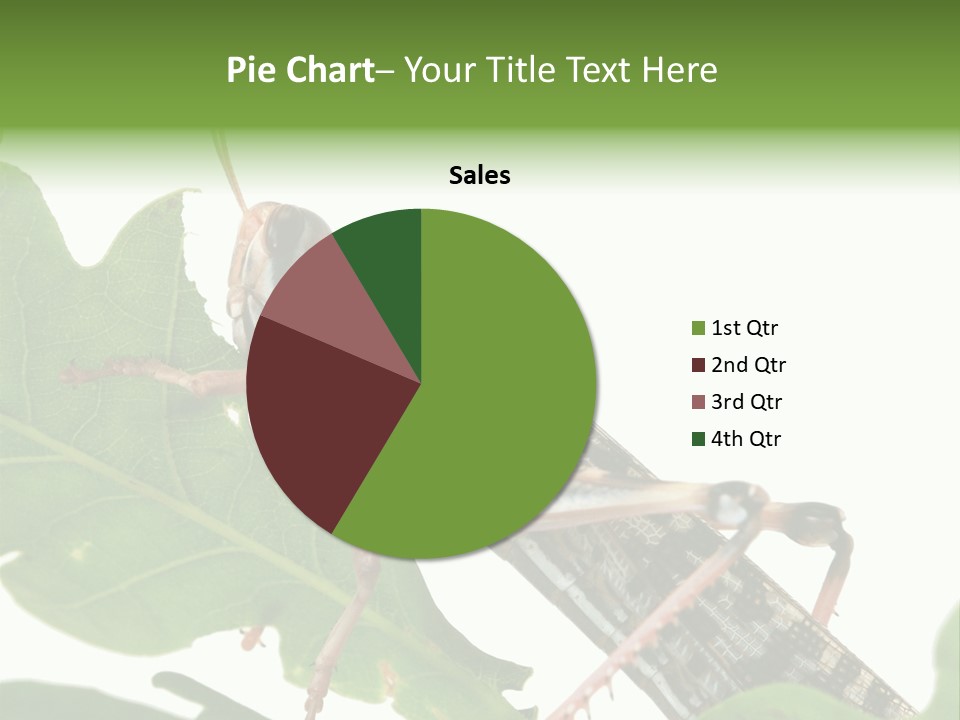 Locust Eating A Leaf Of An Oak - Macro Shot PowerPoint Template