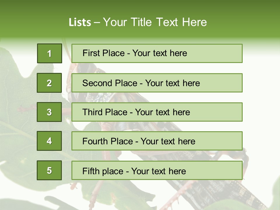 Locust Eating A Leaf Of An Oak - Macro Shot PowerPoint Template