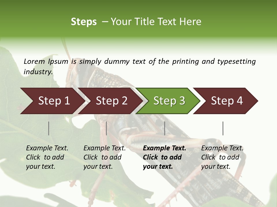 Locust Eating A Leaf Of An Oak - Macro Shot PowerPoint Template
