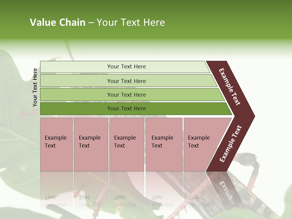 Locust Eating A Leaf Of An Oak - Macro Shot PowerPoint Template