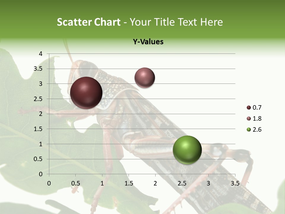 Locust Eating A Leaf Of An Oak - Macro Shot PowerPoint Template