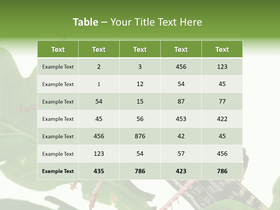 Locust Eating A Leaf Of An Oak - Macro Shot PowerPoint Template