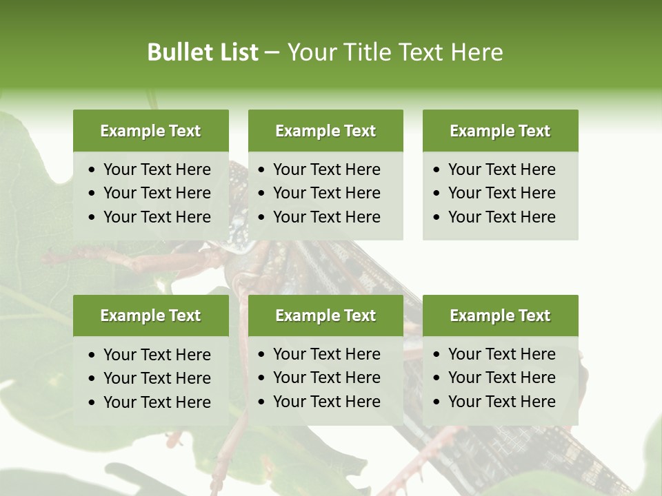 Locust Eating A Leaf Of An Oak - Macro Shot PowerPoint Template
