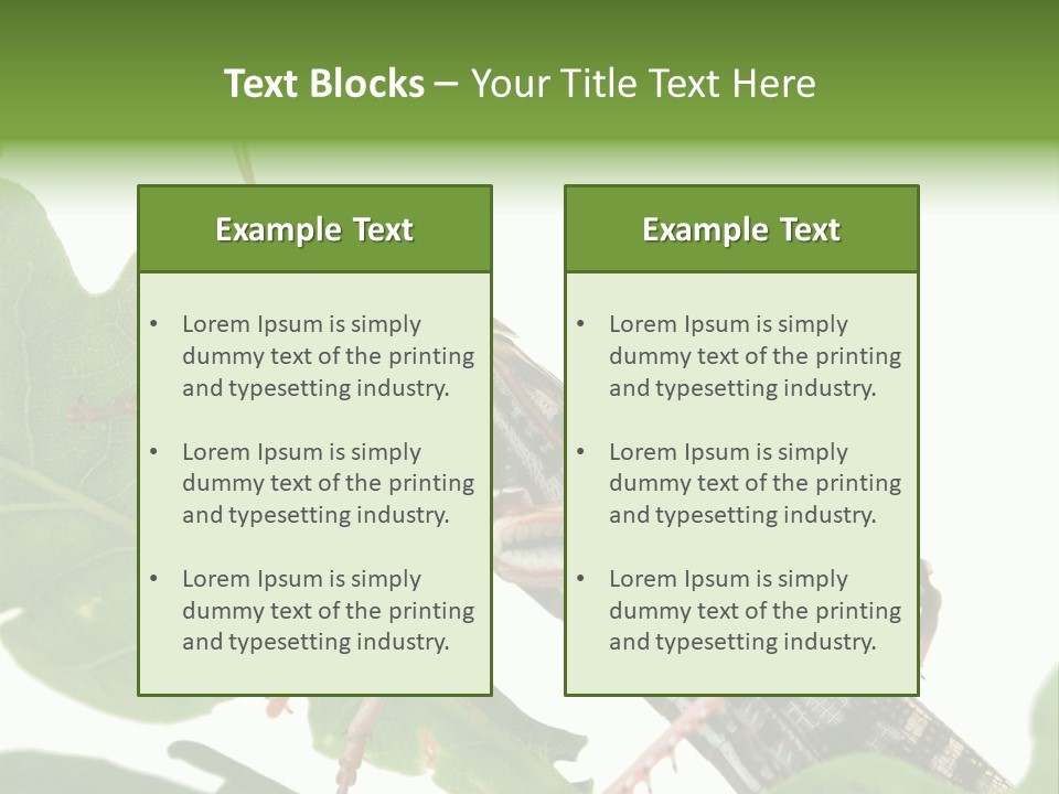 Locust Eating A Leaf Of An Oak - Macro Shot PowerPoint Template